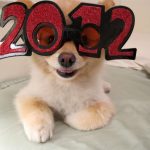New-Years-Day