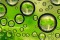Biofuel From Kombu And Escherichia Coli