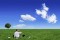 Be Smart: Overcome the drawbacks of Virtual Office