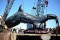 Giant Whale Shark Found Dead In Karachi, Pakistan (PHOTOS)