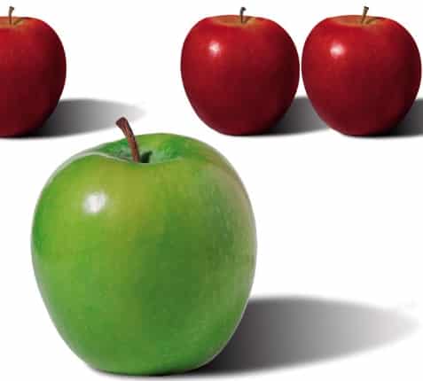 BigAppleInside-9b5cbc5f-31cf-4316-97f8-7f5f8a4a0505