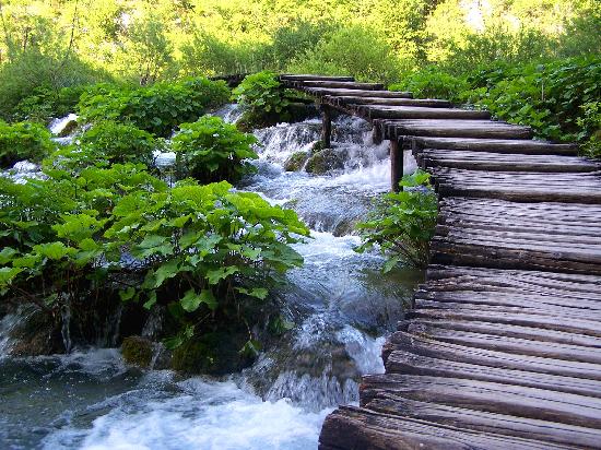 a-boardwalk-crossing