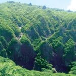 jeju