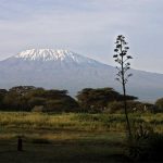mount-kilimanjaro