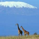 mountkilimanjarofromAmboseli