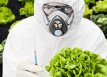 Genetically Modified Foods