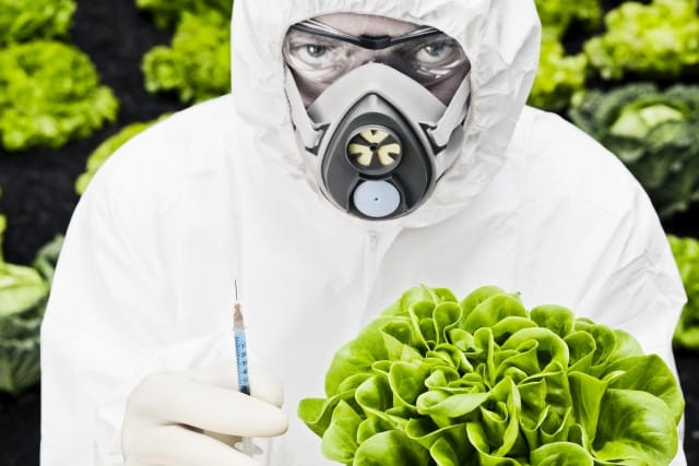 Monsanto Protection Act Sneaks Through House Genetically Modified Foods
