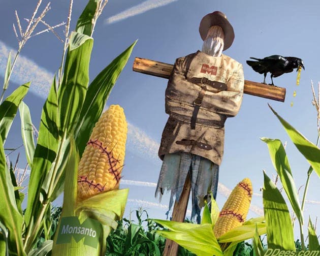 Obama Signs Monsanto Protection Act monsanto-barack-obama