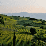 alternative farming methods