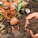 Composting Program