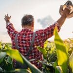 Ways That Farmers Can Protect Their Crops
