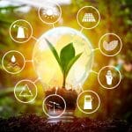 Renewable Energy