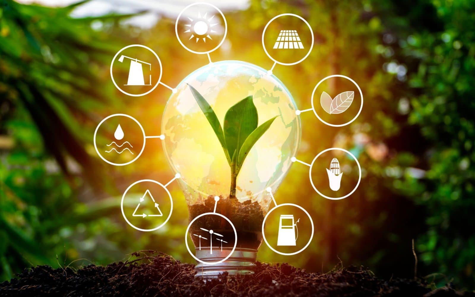 Renewable Energy