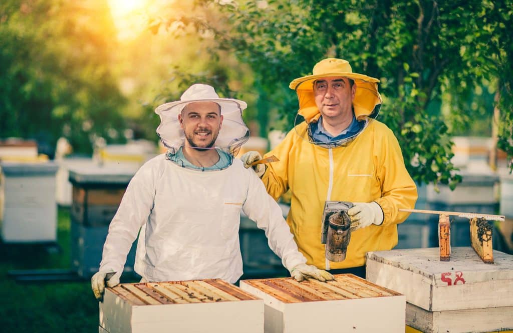 Beekeeping and Military Veterans