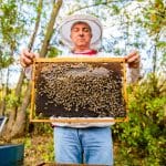 Beekeeping and Military Veterans