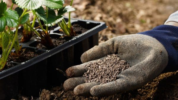 Benefits of Humic Acid