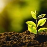 Sustainable future