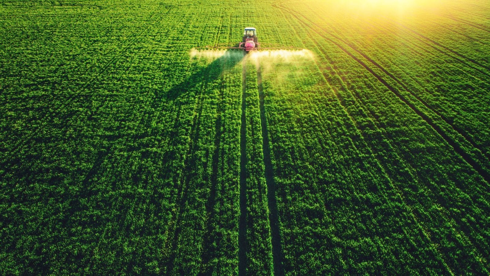 Agricultural Innovations That Changed Farming