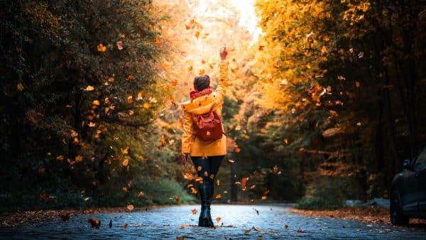 Positive Things About Fall