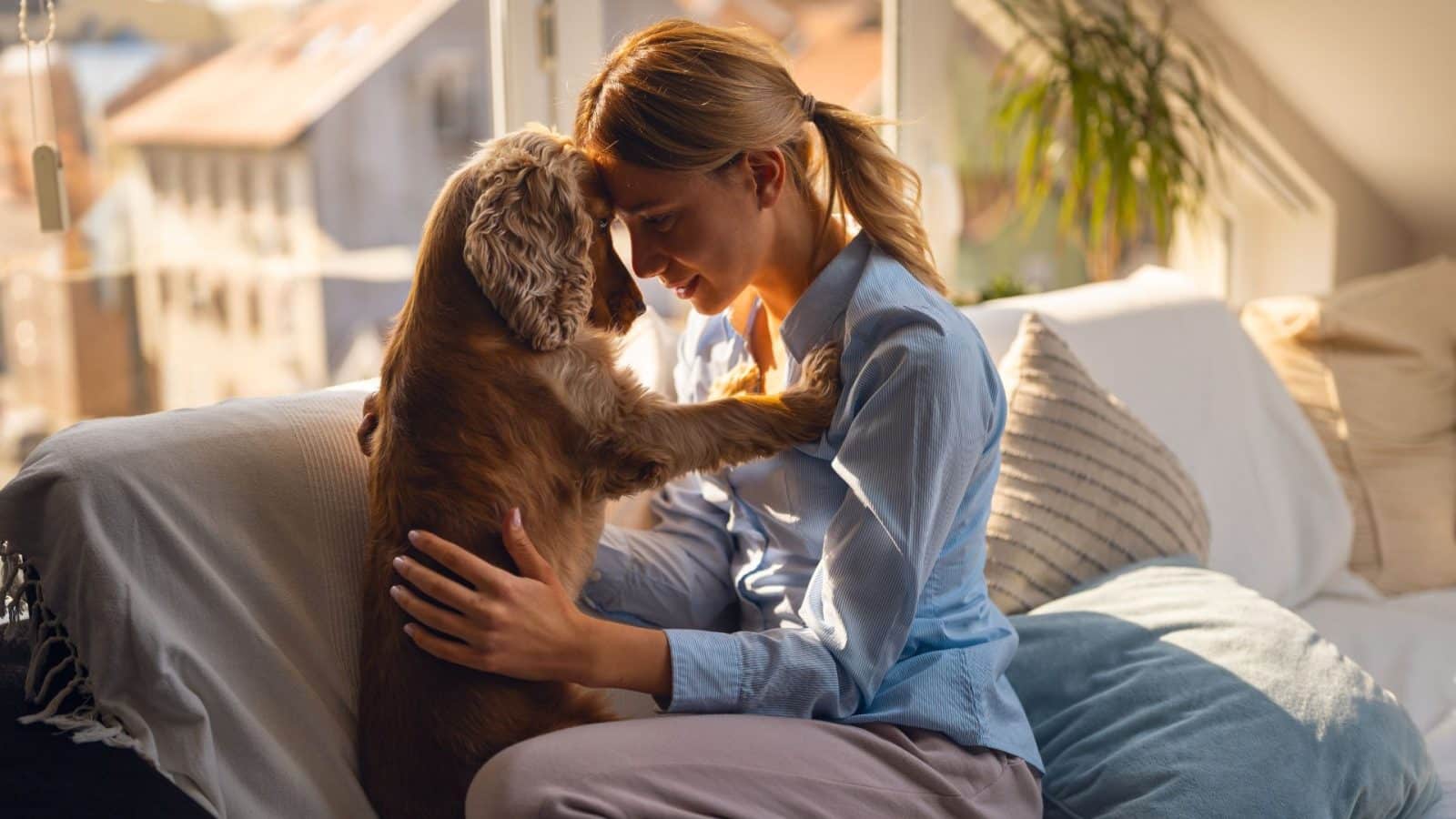 build a strong bond with your pet