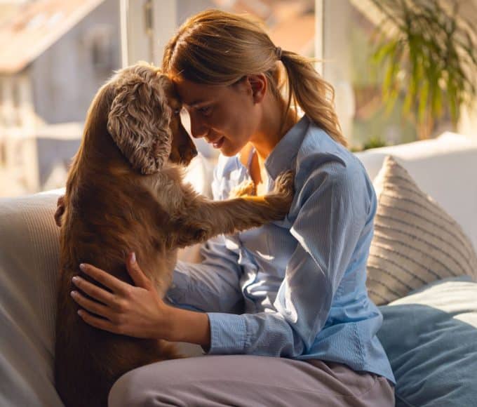 build a strong bond with your pet