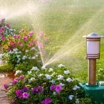 How Can I Help My Lawn Absorb More Water