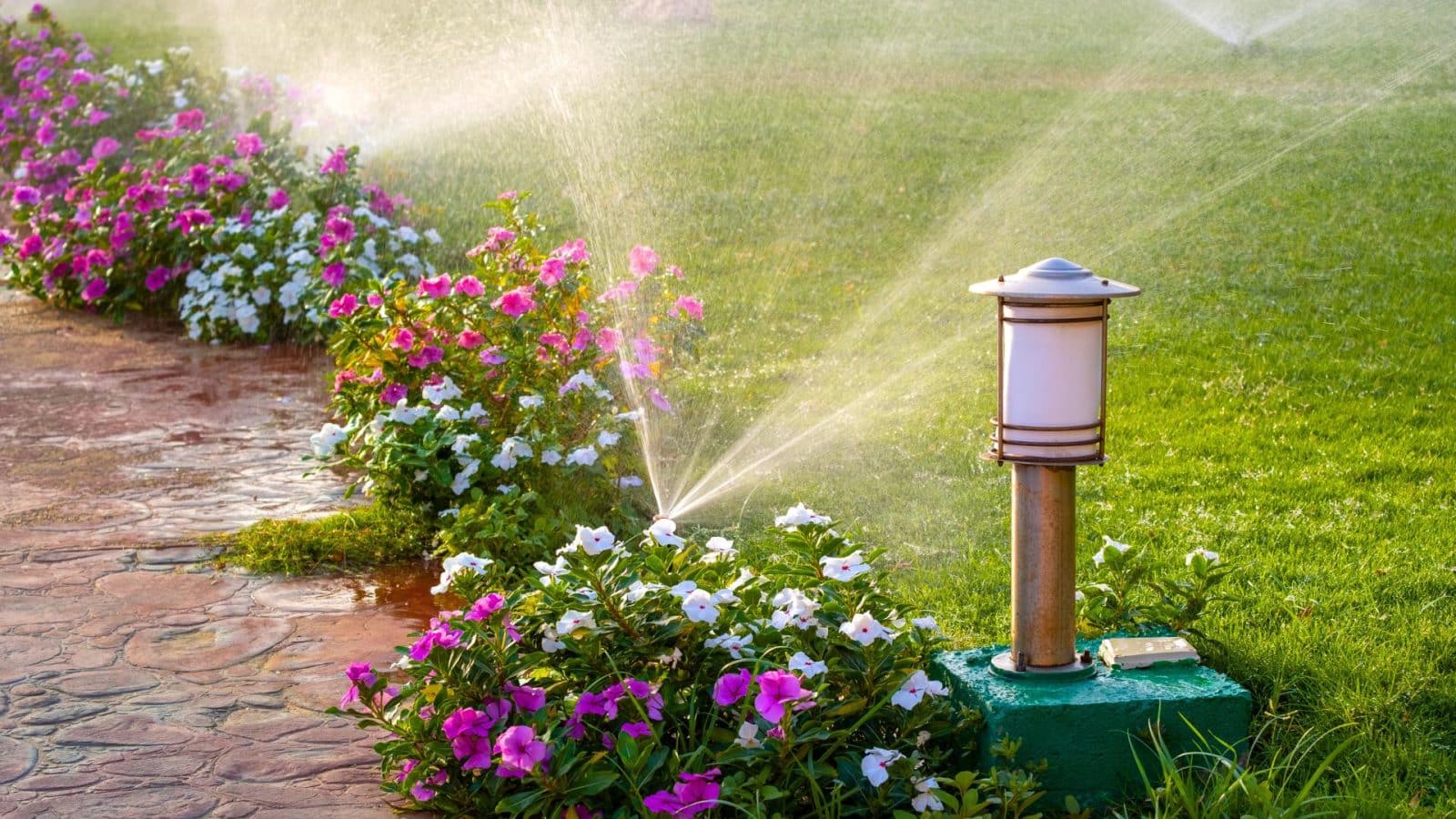 How Can I Help My Lawn Absorb More Water