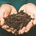 environmentally friendly habits