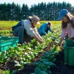 The Best Earth-Friendly Businesses