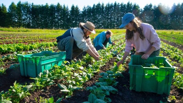 The Best Earth-Friendly Businesses