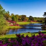 Mental Health Benefits of Nature