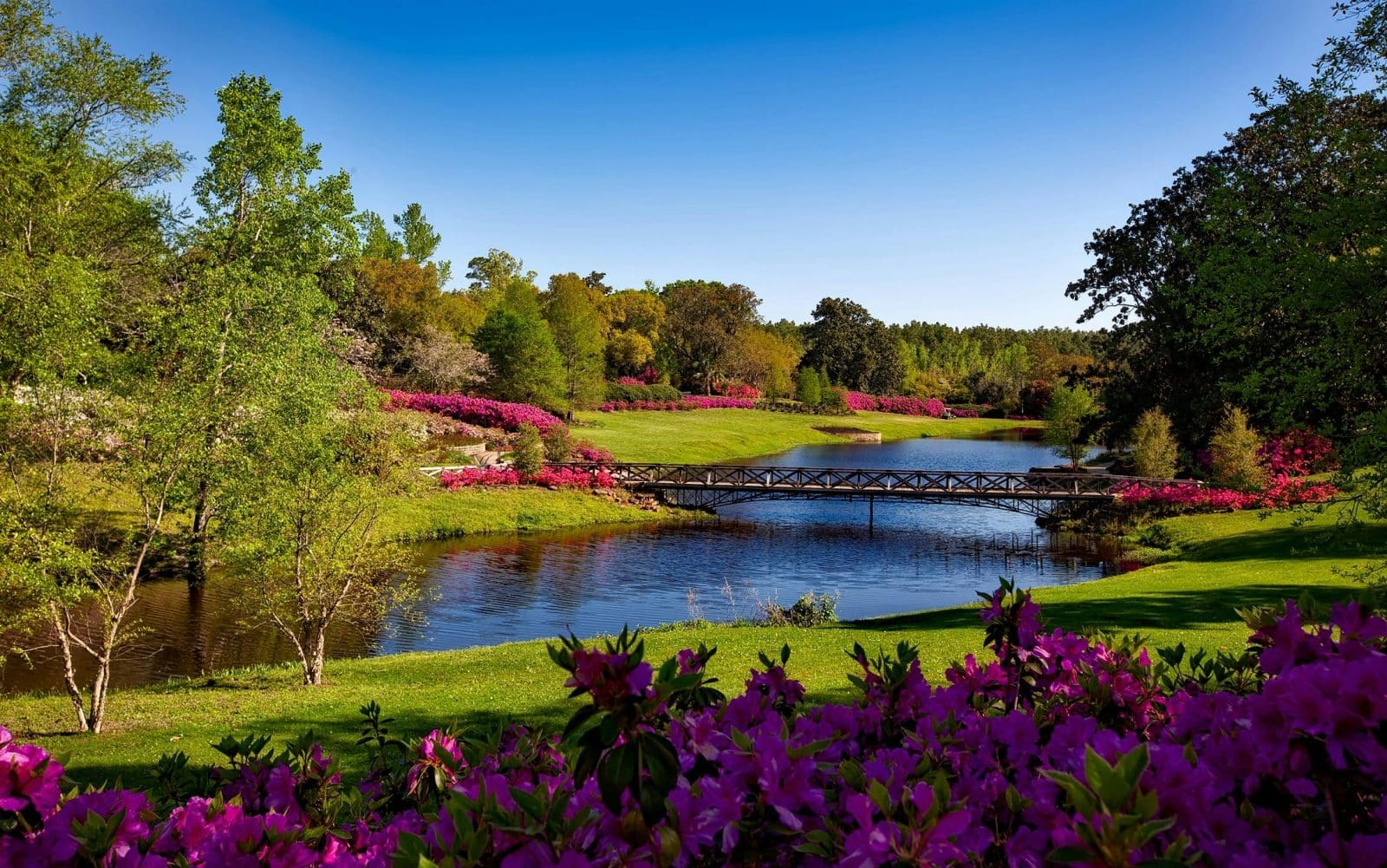 Mental Health Benefits of Nature