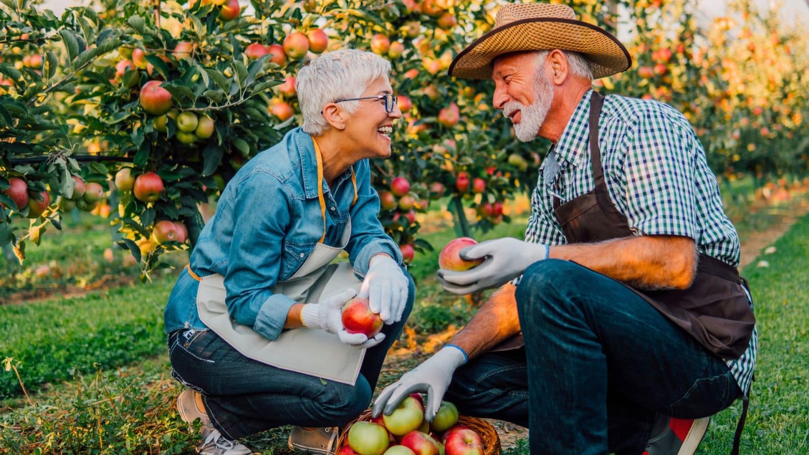 Hobbies To Stay Active During Retirement