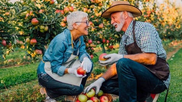 Hobbies To Stay Active During Retirement