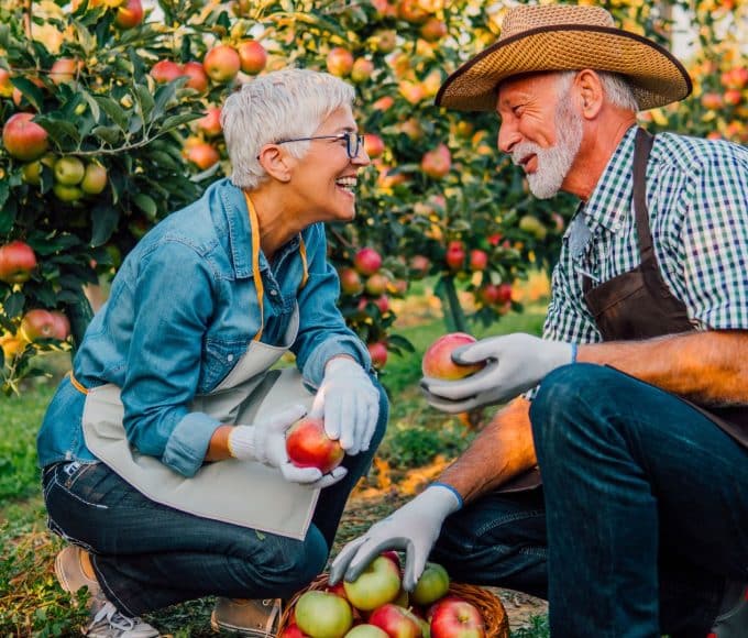 Hobbies To Stay Active During Retirement