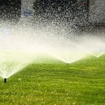 lawns