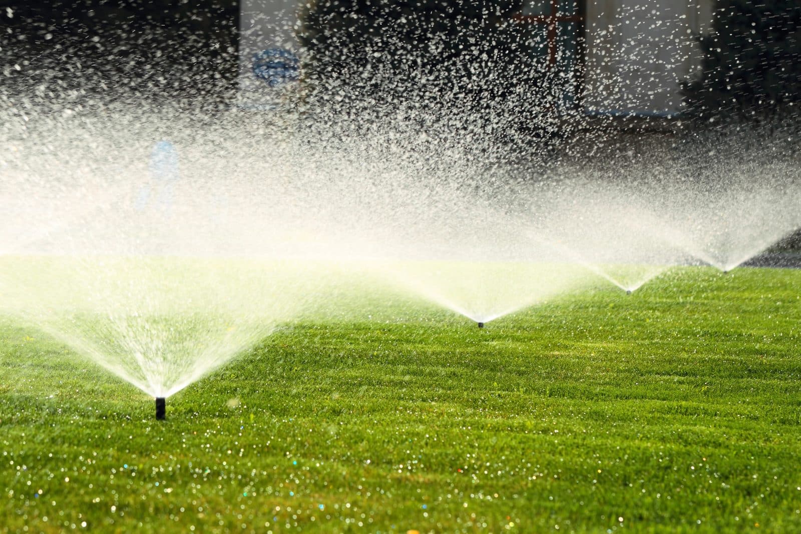lawns