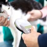 benefits of microchipping pets