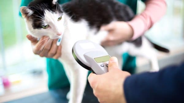 benefits of microchipping pets