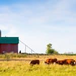increase the value of your farmland