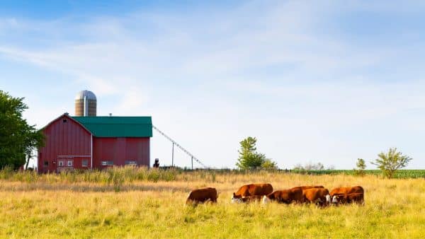 increase the value of your farmland