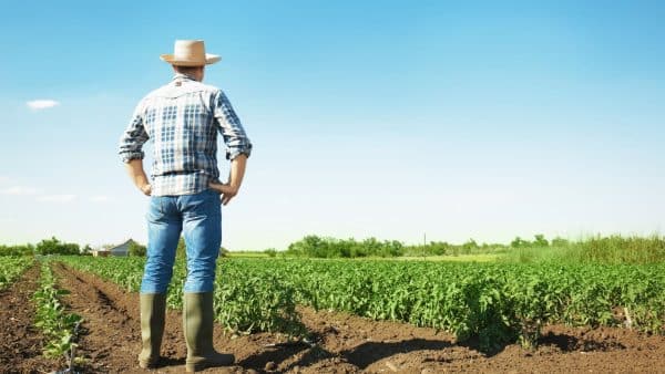 how farmers can improve crop production