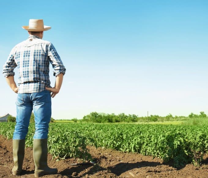 how farmers can improve crop production